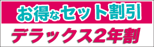 お得なセット割 デラックス2年割